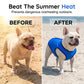 🐶🌊 PROMO FLASH -50% ! Gilet Rafraîchissant pour Chien – Maille Respirante 3D, Soulagement Instantané de la Chaleur, Bleu, Tailles M/L/XL, Idéal Animaux Actifs ✨