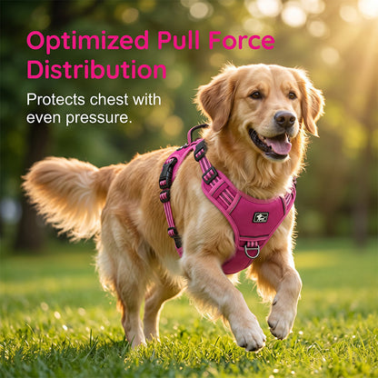 🐕 PROMO FLASH : 50% DE RÉDUCTION ! Harnais Gilet Robuste pour Chien – Design Anti-Traction, Réglage Multipoints & Doublure Respirante for une Randonnée, un Jogging et un Usage Quotidien en Toute Sécurité 🏔️✨