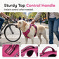 🐕 PROMO FLASH : 50% DE RÉDUCTION ! Harnais Gilet Robuste pour Chien – Design Anti-Traction, Réglage Multipoints & Doublure Respirante for une Randonnée, un Jogging et un Usage Quotidien en Toute Sécurité 🏔️✨