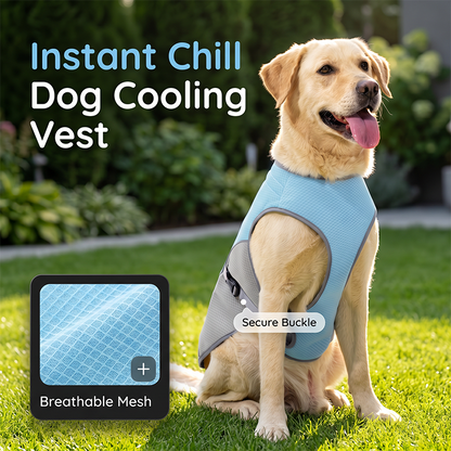 📢📢 50% DE RÉDUCTION MAINTENANT !! ⏰ Gilet Rafraîchissant & Harnais pour Chien – Refroidissement Été
