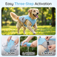 📢📢 50% DE RÉDUCTION MAINTENANT !! ⏰ Gilet Rafraîchissant & Harnais pour Chien – Refroidissement Été