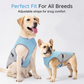 📢📢 50% DE RÉDUCTION MAINTENANT !! ⏰ Gilet Rafraîchissant & Harnais pour Chien – Refroidissement Été