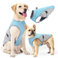 📢📢 50% DE RÉDUCTION MAINTENANT !! ⏰ Gilet Rafraîchissant & Harnais pour Chien – Refroidissement Été