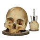 🎃 PROMO CHAUDE – 50% DE RÉDUCTION ! 💀 Porte-Couteaux Crâne Gothique – Résine Premium, Design Unique & Fonctionnel – Rangez Vos Couteaux avec Style – Idéal pour Cuisine ou Salle à Manger 🔪✨