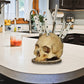 🎃 PROMO CHAUDE – 50% DE RÉDUCTION ! 💀 Porte-Couteaux Crâne Gothique – Résine Premium, Design Unique & Fonctionnel – Rangez Vos Couteaux avec Style – Idéal pour Cuisine ou Salle à Manger 🔪✨