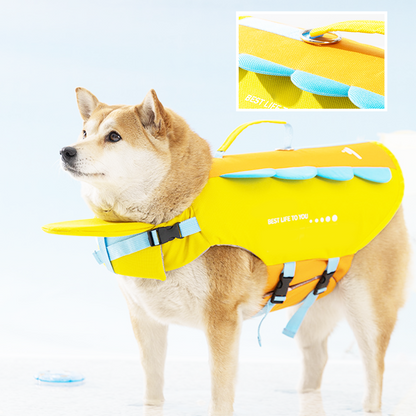 🐶 50% DE RÉDUCTION ! 🌊 Gilet de Sauvetage Haute Flottabilité pour Chien – Tissu Respirant, Poignée de Secours & Boucles Réglables – Sécurité et Confort dans l’Eau 🦺✨
