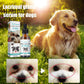 🐱 50% DE RÉDUCTION ! 🐶 Nettoyant & Gouttes Yeux Animaux – pH Équilibré – Antibiotique & Apaisant for Chiens & Chats
