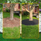 🏡 PROMO FLASH : 50% DE RÉDUCTION ! 🌿 Bordure de Jardin 10m – PE – 30 Piquets & Pose Rapide Sans Creuser for Pelouses & Massifs 🌱