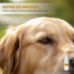 🐶 50% DE RÉDUCTION ! 💧 Gouttes Ophtalmiques Douces Animaux – 10 ml – Extraits Plantes & Anti-Taches Larmes for Chats & Chiens