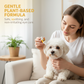 🐶 50% DE RÉDUCTION ! 💧 Gouttes Ophtalmiques Douces Animaux – 10 ml – Extraits Plantes & Anti-Taches Larmes for Chats & Chiens