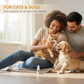 🐶 50% DE RÉDUCTION ! 💧 Gouttes Ophtalmiques Douces Animaux – 10 ml – Extraits Plantes & Anti-Taches Larmes for Chats & Chiens