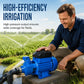 💧 50% DE RÉDUCTION ! ⚙️ Pompe Surpresseur Auto-Amorçante – Fonte + Aluminium – Moteur Thermoprotecté & Turbine Précision for Irrigation & Maison