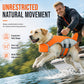 🐕 -50% ! 🌊 Gilet de Sauvetage pour Chien avec Flotteur Frontal Amovible – Tissu – Poignée Dorsale & Anneau en D pour Sécurité Aquatique 🐾