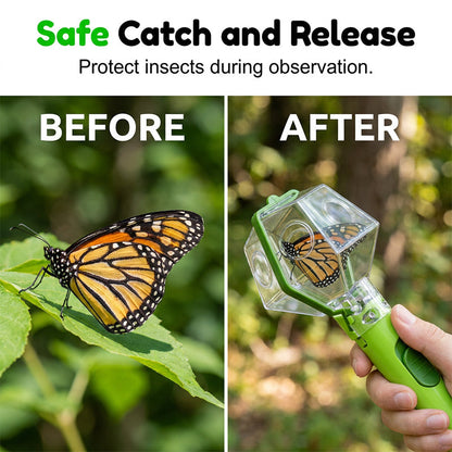 🐞 PROMO FLASH : 50% DE RÉDUCTION ! Attrape-Insectes Interactif pour Enfants – Fenêtre d'Observation Transparente & Capture Sans Danger for une Aventure Nature Éducative et Amusante ✨🌱