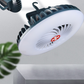 🌀 -50% ! 💡 Ventilateur Lumineux Portable – Solaire + Recharge USB – Autonomie Toute Nuit & Crochet Intégré pour Camping et Urgence 🏕️