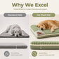 🐾 -50% ! ☁️ Tapis de Couchage Premium en Peluche pour Animaux – Velours Cristal – Soutien Ergonomique & Bord Oreiller pour Sommeil Réparateur 🛏️