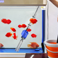 🐟 -50% ! 💧 Changeur d'Eau et Nettoyeur de Filtre d'Aquarium – ABS – Aspiration Électrique Puissante & Filtration Intégrée pour Bac à Poisson Propre 🐠
