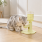 💧 PROMO FLASH : 50% DE RÉDUCTION ! Fontaine à Eau pour Chat à Hauteur Réglable – Ergonomique & Anti-éclaboussure for une Hydratation Confortable et Propre 🐱✨