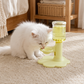 🐱 -50% ! 💧 Fontaine à Eau pour Chat à Hauteur Réglable – Plastique – 3 Niveaux & Antidérapante – Bol Surélevé 650 ml pour Hydratation Confortable 🐾