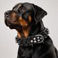 🐕 -50% ! 🔒 Collier pour Chien en Cuir PU à Pointes – Anti-Morsure – Boucle Métallique Anti-Rouille – Anneau en D – Tailles XS à L – Noir 🐾