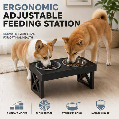 🐾 PROMO FLASH : 50% DE RÉDUCTION ! 🍽️ Gamelles Surélevées pour Chien – ABS & Acier Inoxydable – Réglable & Distributeur Lent for Santé Digestive 🐶