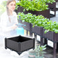 🌱 PROMO FLASH : ÉCONOMISEZ 50% ! 🥬 Bac de Plantation Multifonctionnel – Auto-Arrosage & PP Renforcé – 30×30×20 cm for Légumes & Herbes ✨