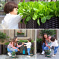 🌱 PROMO FLASH : ÉCONOMISEZ 50% ! 🥬 Bac de Plantation Multifonctionnel – Auto-Arrosage & PP Renforcé – 30×30×20 cm for Légumes & Herbes ✨