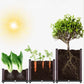 🌱 PROMO FLASH : ÉCONOMISEZ 50% ! 🥬 Bac de Plantation Multifonctionnel – Auto-Arrosage & PP Renforcé – 30×30×20 cm for Légumes & Herbes ✨