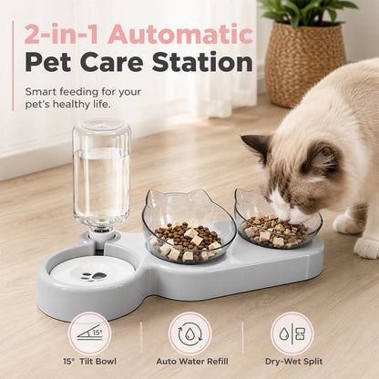 🐾 PROMO FLASH : 50% DE RÉDUCTION ! Gamelle Inclinée 15° avec Fontaine Automatique – Surélevée, Antidérapante & 2-en-1 for Repas Confortables 💧✨