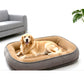 🐾 PROMO FLASH : 50% DE RÉDUCTION ! Lit Confortable pour Animaux – Mousse de Soutien & Double Texture Respirante for un Repos Douillet Toute l'Année ✨