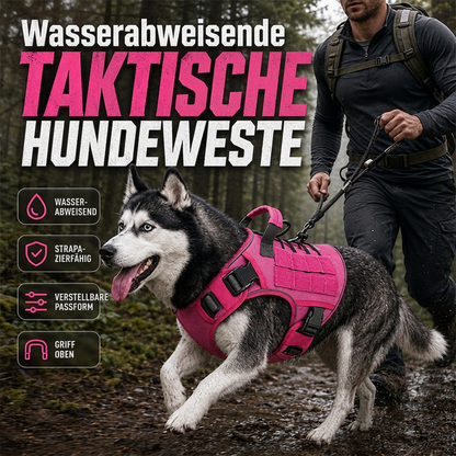 🐕 PROMO FLASH : 50% DE RÉDUCTION ! Harnais Antitraction pour Chien en Sangle Renforcée – Gilet Tactique Résistant à l'Eau, Poignée de Préhension & Ajustement Ergonomique for des Promenades Confortables et Contrôlées ✨🦮