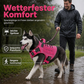 🐕 PROMO FLASH : 50% DE RÉDUCTION ! Harnais Antitraction pour Chien en Sangle Renforcée – Gilet Tactique Résistant à l'Eau, Poignée de Préhension & Ajustement Ergonomique for des Promenades Confortables et Contrôlées ✨🦮