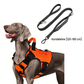 🐕 PROMO FLASH : 50% DE RÉDUCTION ! Harnais Antitraction pour Chien en Sangle Renforcée – Gilet Tactique Résistant à l'Eau, Poignée de Préhension & Ajustement Ergonomique for des Promenades Confortables et Contrôlées ✨🦮
