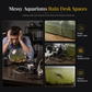 🐠 PROMO FLASH : 50% DE RÉDUCTION ! Aquarium de Bureau Transparent – Vue Panoramique & Couvercle Multifonction for Une Touche de Nature Apaisante sur Votre Bureau