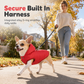 🐾 PROMO FLASH : 50% DE RÉDUCTION ! Manteau d'Hiver à Capuche Doublé Polaire pour Chien avec Anneau Harnais Dorsal Intégré – Coupe-Vent, Imperméable & Doublure Thermique for des Promenades Chaudes et Confortables ✨