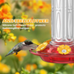 🌸 PROMO FLASH : 50% DE RÉDUCTION ! Mangeoire Suspendue pour Colibris – Douve Anti-Fourmis Intégrée, Capacité 444 ml & 5 Fleurs en Silicone Doux for un Jardin Animé et des Oiseaux en Pleine Santé 🕊️✨