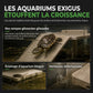 🐢 PROMO FLASH : 50% DE RÉDUCTION ! Plateforme de Repos en Acrylique Transparent pour Tortues – Réglable & Antidérapante for un Habitat Sain et Confortable 💧✨