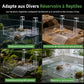 🐢 PROMO FLASH : 50% DE RÉDUCTION ! Plateforme de Repos en Acrylique Transparent pour Tortues – Réglable & Antidérapante for un Habitat Sain et Confortable 💧✨