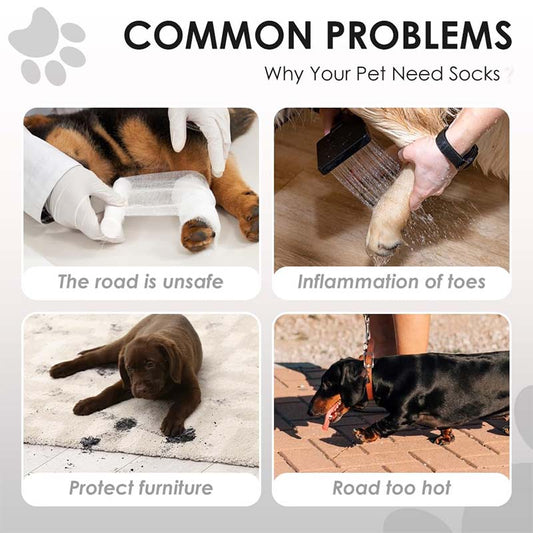 🐾 PROMO FLASH : 50% DE RÉDUCTION ! Bottes Ajustables pour Chien avec Sangles – Semelles Caoutchouc Durables & Bandes Réfléchissantes for une Protection des Pattes en Toutes Saisons ✨