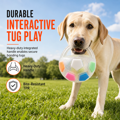 🐕⚽ PROMO FLASH : 50% DE RÉDUCTION ! Ballon de Football pour Chien avec Languettes de Prise – TPR Résistant aux Mâchouillements, Sangle Maître & Imperméable for Tir à la Corde et Rapport Interactif ✨